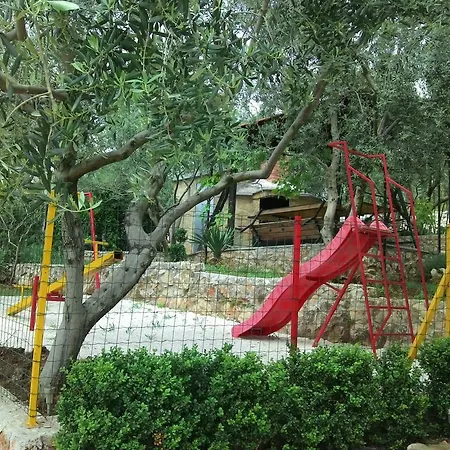 Mia Traù